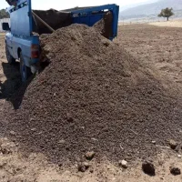 کود گوسفندی تحویلی