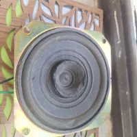 بلنگو باند