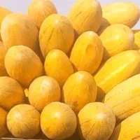 خربزه درجه یک