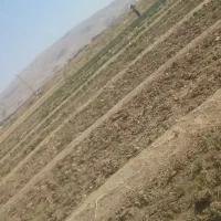 تراکتور ۲۸۵