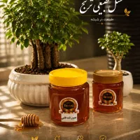 استخدام بازاریاب عسل