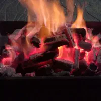 ذغال کبابی خودسوز فشرده