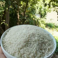 برنج درشت سر لاشه نیم دانه درشت هاشمی سورت شده