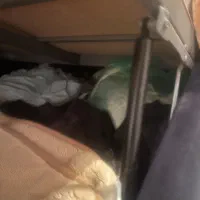 تخت جکدار و باکس دار یک نفره