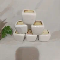 گلدان دکوری.کوچک وبزرگ