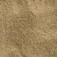 جو محلی و مقداری گندم