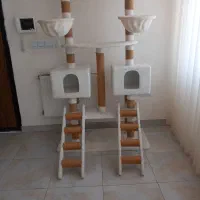 اسکریچر  گربه (خانه گربه)