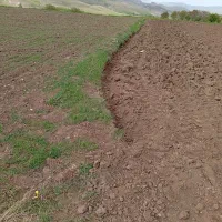 1.5هکتارزمین برای ساخت گلخانه