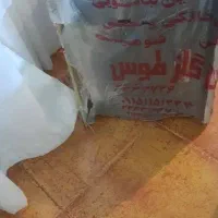 گاز ۲ شعله