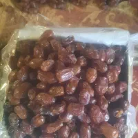فروش خرما کلیته درجه یک به صورت کارتن وحلبی