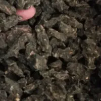 جاشیر خوراکی اصل