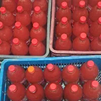 رب خانگی درجه یک فصل