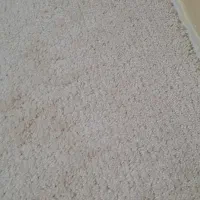موکت|موکت|آمل, |دیوار