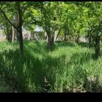 باغ ویلا در چهار باغ