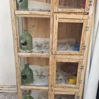 جفت کن کبوتر