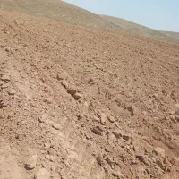 زمین کشاورزی شیرحصار