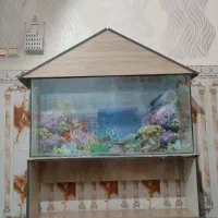 آکواریوم کامل