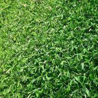 فروش فنس چمنی ( مستقیم از انبار کارخانه )