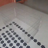 قفس