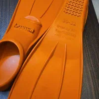 فین شنا|غواصی و ورزشهای آبی|شیراز, گلدشت معالیآباد|دیوار