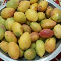 گارزُنگی‌‌تازه‌زرد‌سُرخ‌