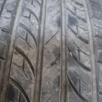 لاستیک تارا