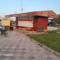 رنگ آمیز