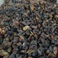 کشمش افتابی