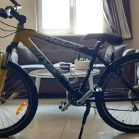 دوچرخه حرفه ای  VIVA - RATTLER 26