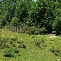 2000متر/بام چالوس/کوی سپیدار/دارای اثبات مالکیت