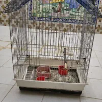 قفس پرنده