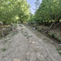استخدام باغبان