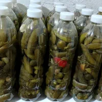 خیارشور طبیعی و تاره