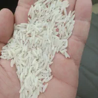 برنج طارم ندا خوش پخت عطری