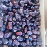 ضایعات خرما