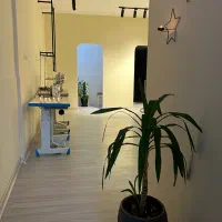 استخدام ادمین