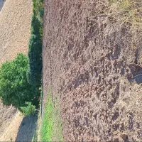 زمین-کشاورزی