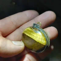 مدال چشم ببر