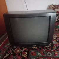 تلویزیون ویستر