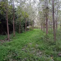 ۲۰۰۰ متر  زمین  باغی  احمدسرگوراب