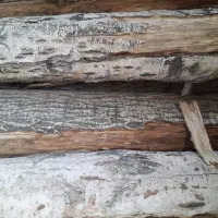 خریدار انواع چوب نجاری