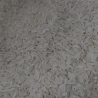 طارم هاشمی