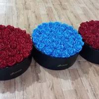 gool|گل مصنوعی|کرمانشاه, |دیوار