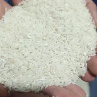 برنج هاشمی درجه یک