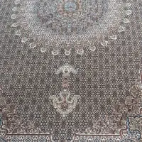 جفت ۶متری ۷۰۰شانه اصلی زمرد مشهد