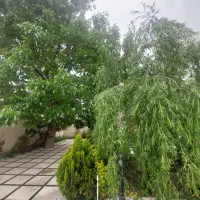 باغچه۴۳۵متر.کردان.تهراندشت.سعیدآباد
