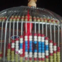 فروش سهره خاکی