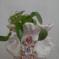 گلدان رومیزی سرامیکی