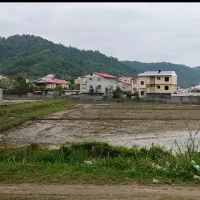 505متر زمین در تی تک تالش