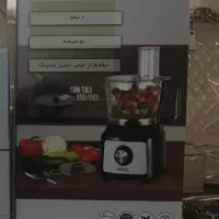 غذاساز میگل مدل GFP 800